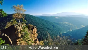 Harz waschstein