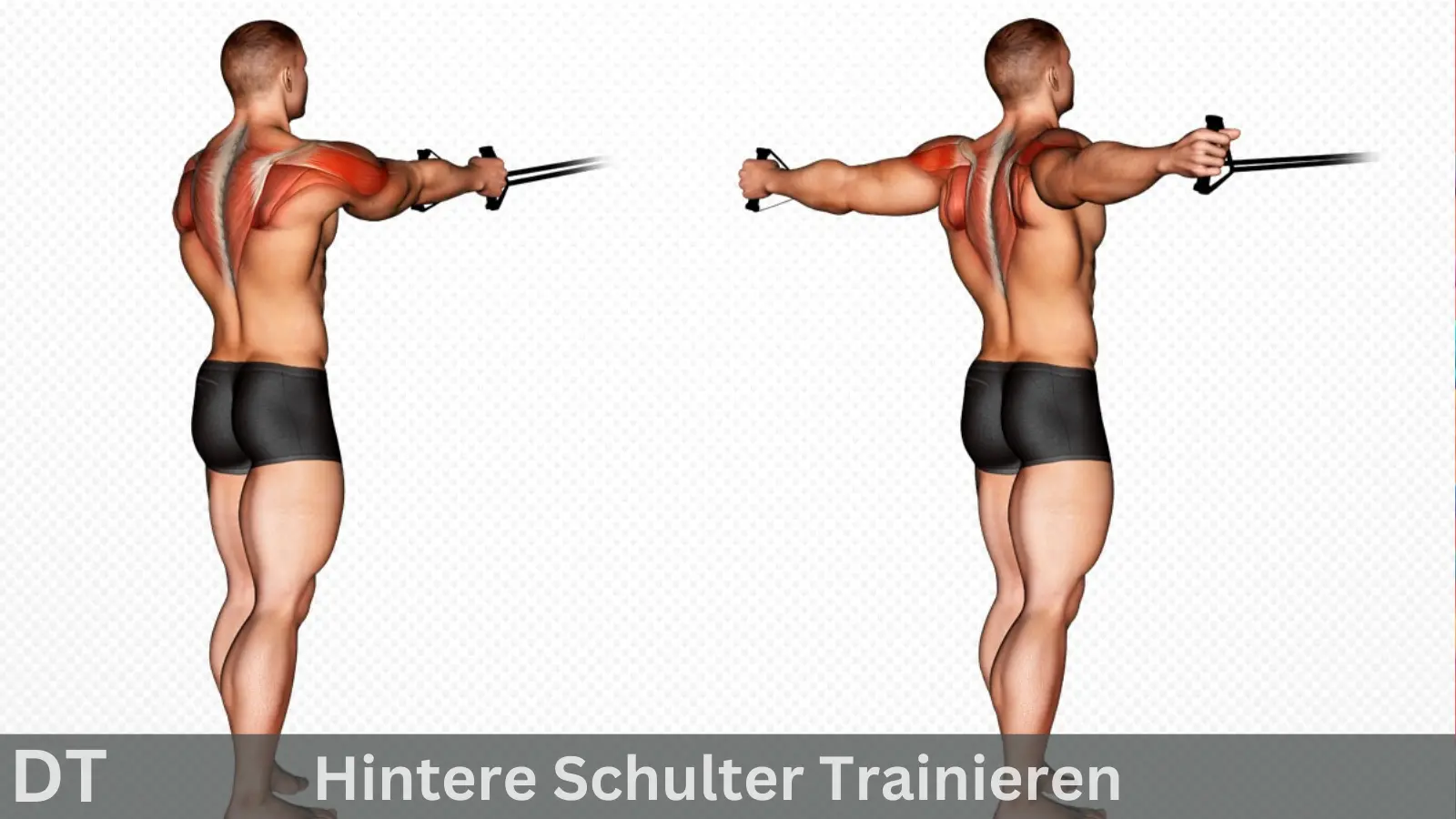 Hintere schulter trainieren (3)
