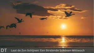 Laat de zon schijnen een stralende schönen mittwoch (1)