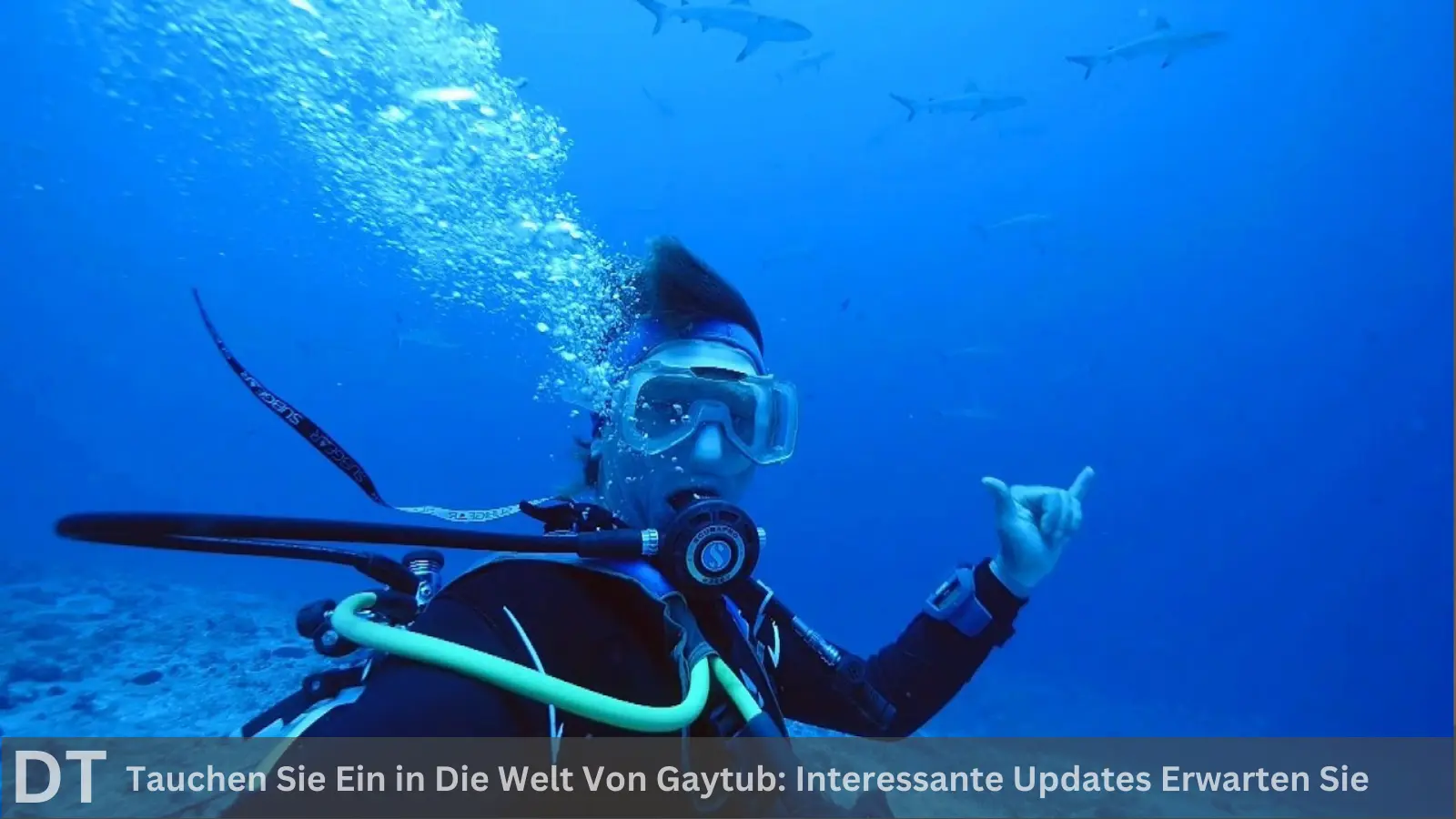 Tauchen sie ein in die welt von gaytub interessante updates erwarten sie