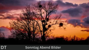 Sonntag abend bilder