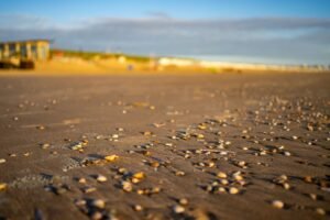 Nordsee-Urlaub Norddeich: Rechte und Pflichten 2026