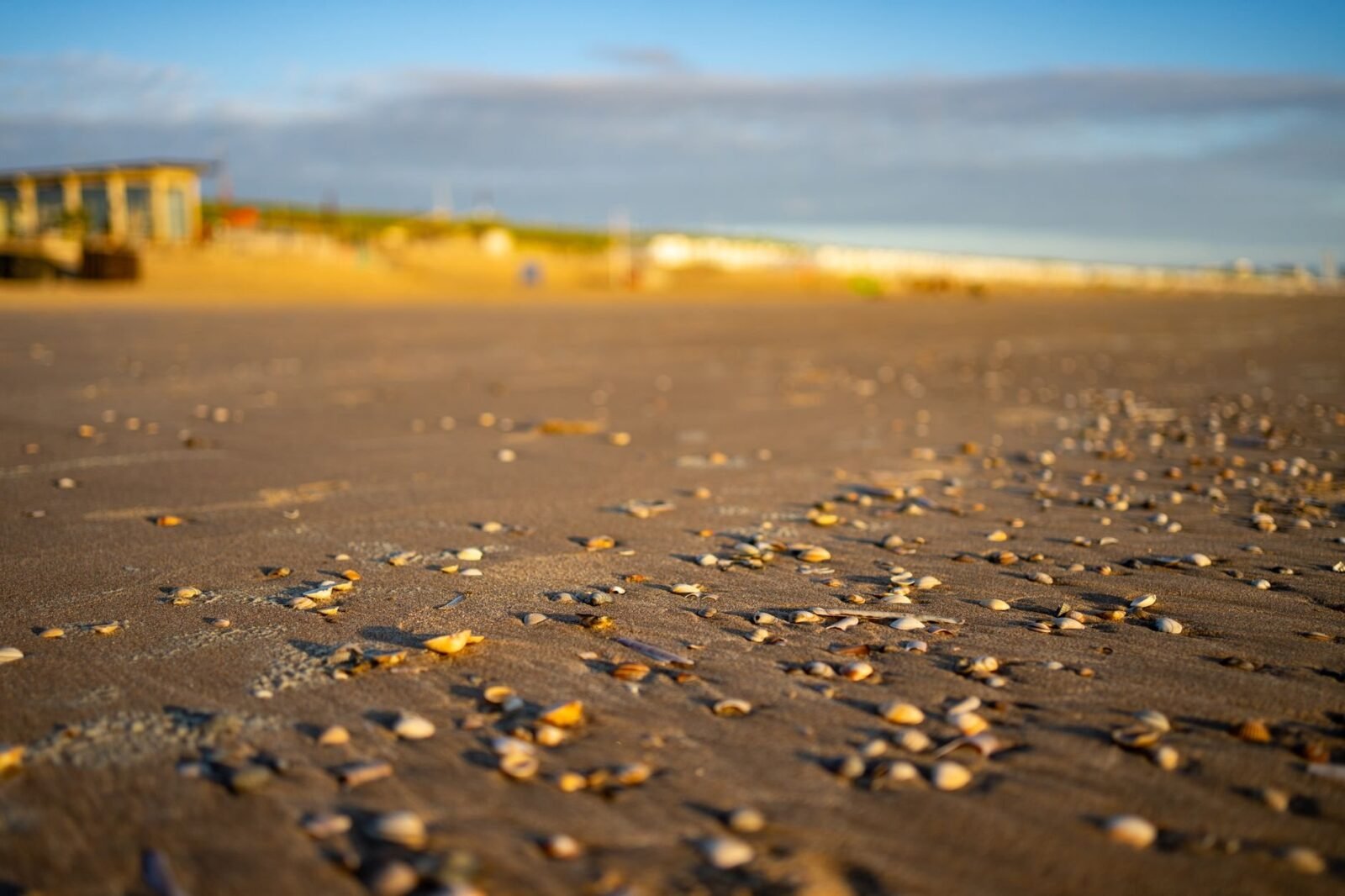 Nordsee-Urlaub Norddeich: Rechte und Pflichten 2026