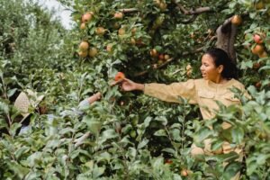 Obst im Schulgarten: Sorten, Förderung und Lehrplan 2026