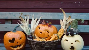 Mehrere geschnitzte Halloween-Kuerbisse mit Grinsegesichtern als herbstliche Dekoration
