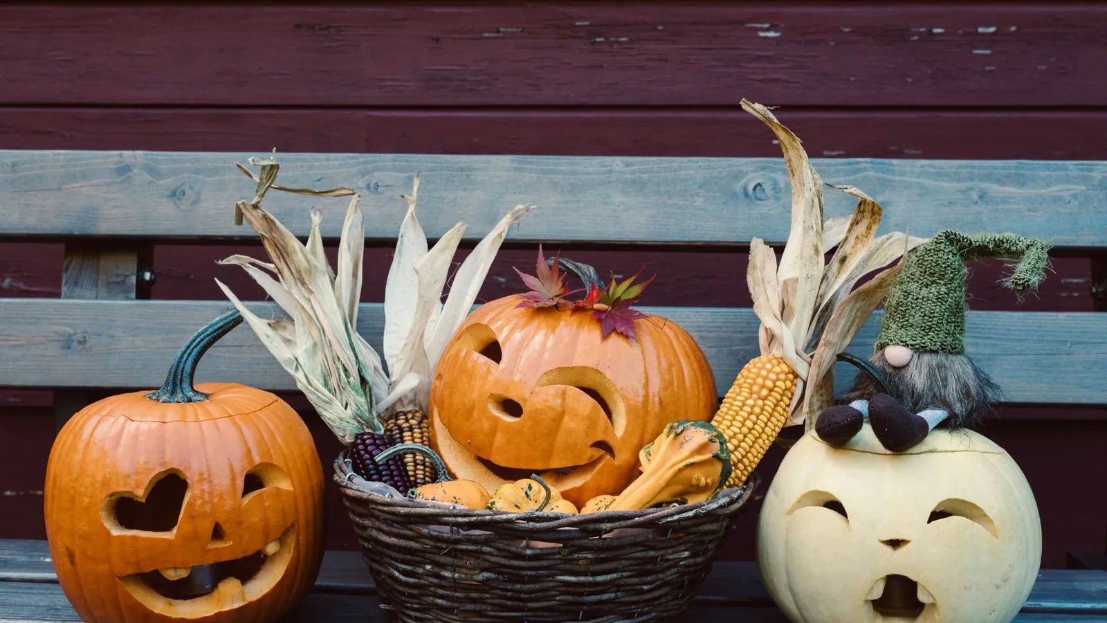 Mehrere geschnitzte Halloween-Kuerbisse mit Grinsegesichtern als herbstliche Dekoration