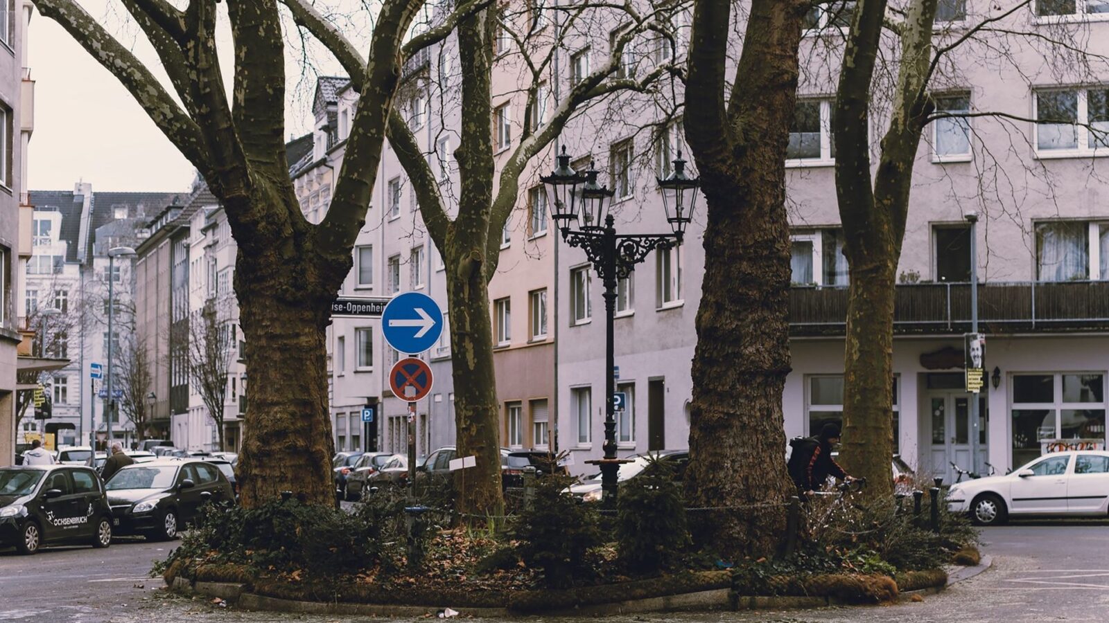 Straße mit Altbauten und Platanen